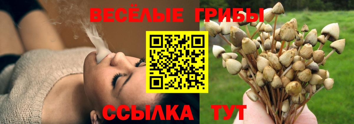 Галлюциногенные грибы мухоморы  Вход с VPN  Медногорск 